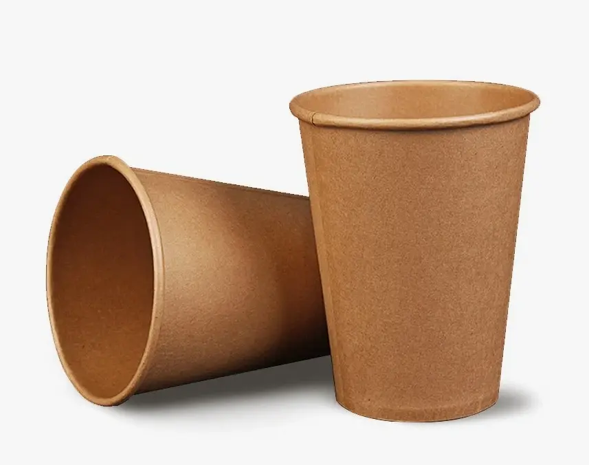 Guide to Choosing BPA-Free Paper Cups for Hot and Cold Drinks