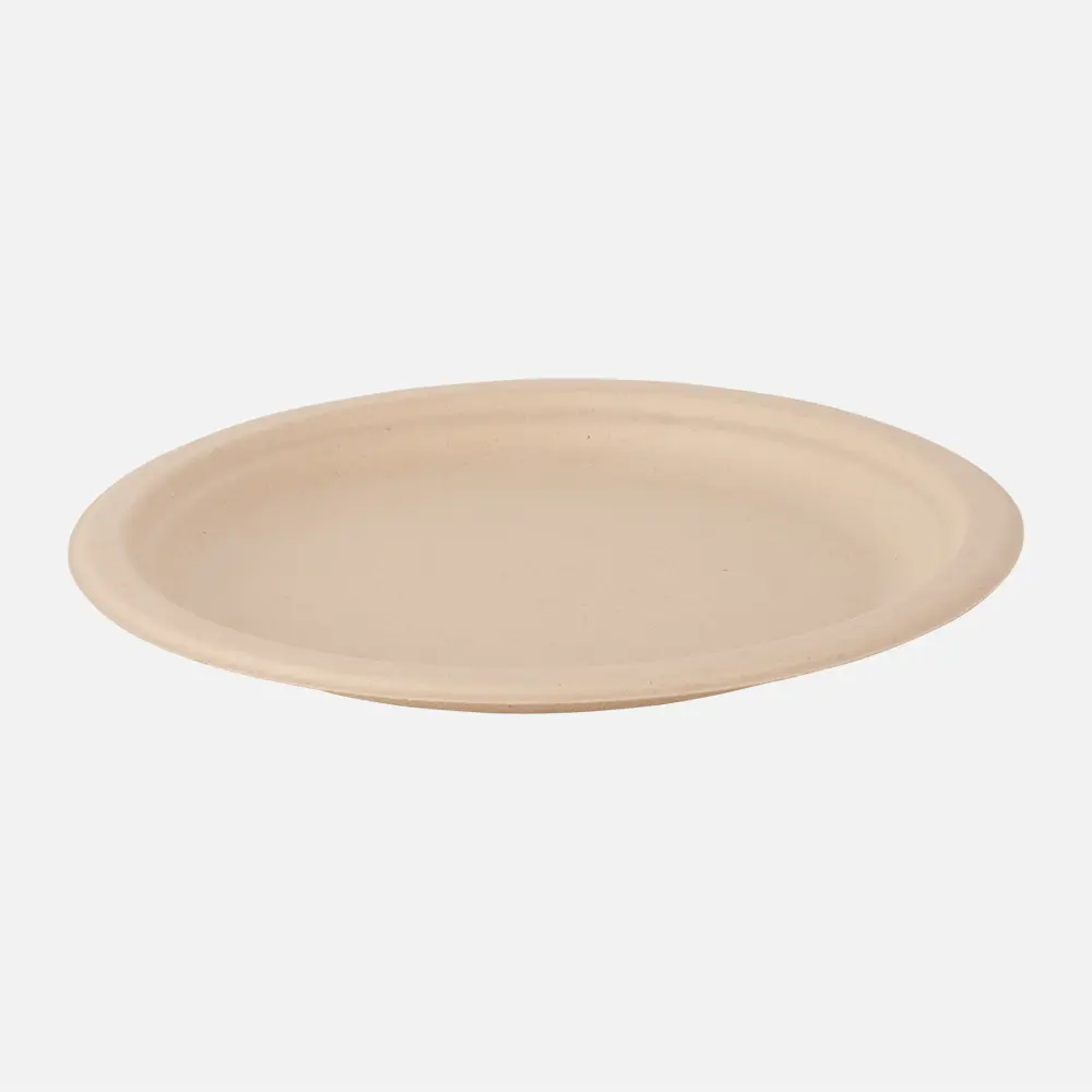 sugarcane disposable plates