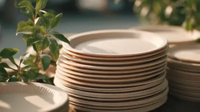 Exploring Eco Friendly Alternatives to Best Paper Plates and Bowls