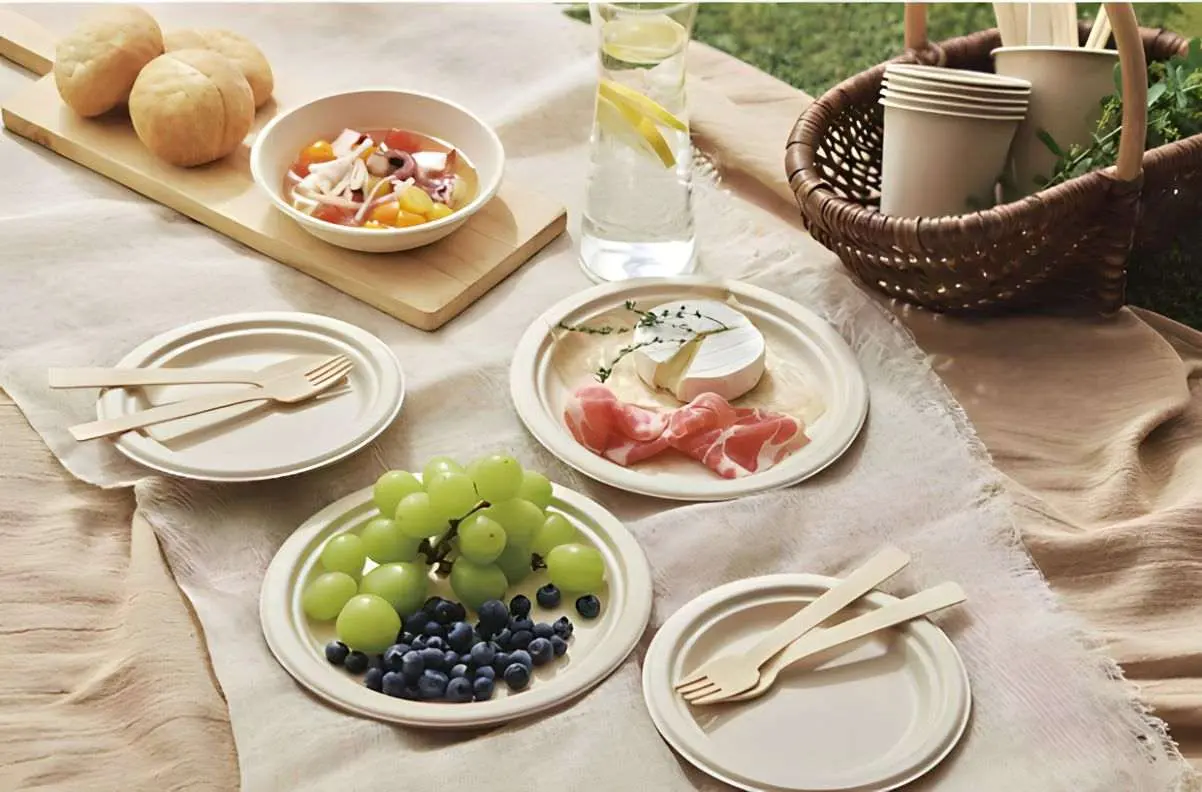 Bagasse-4.jpg