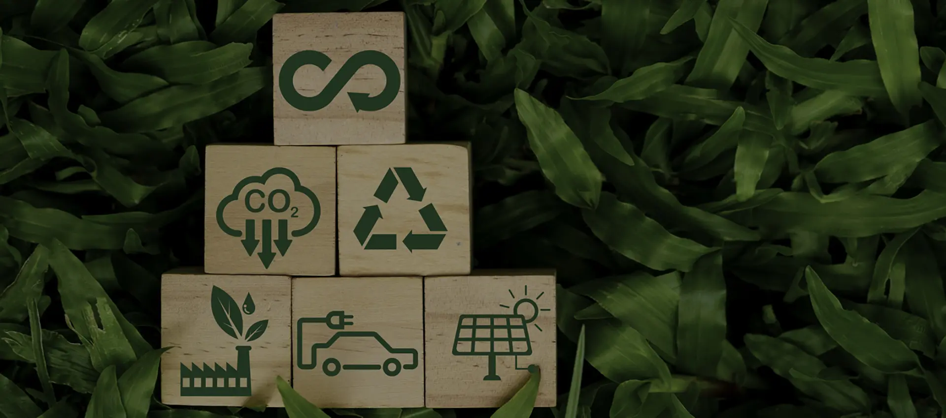 Eco Products Compostable Cups Factory
