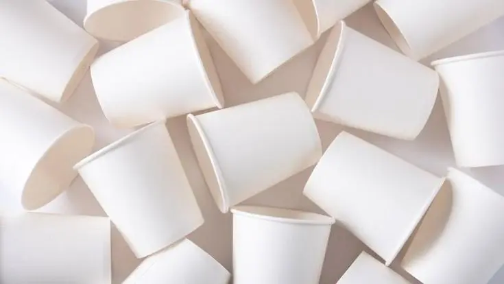 PE Coating Versus Water-Based Coating: A Comprehensive Guide for Paper Cups