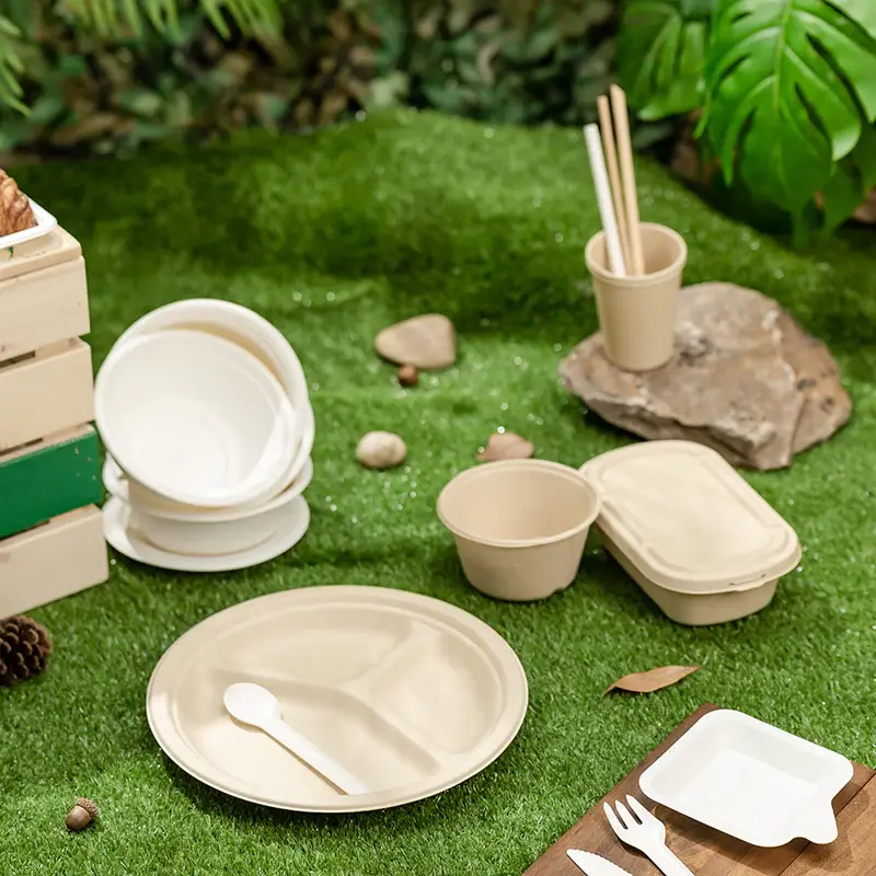 Bagasse.jpg