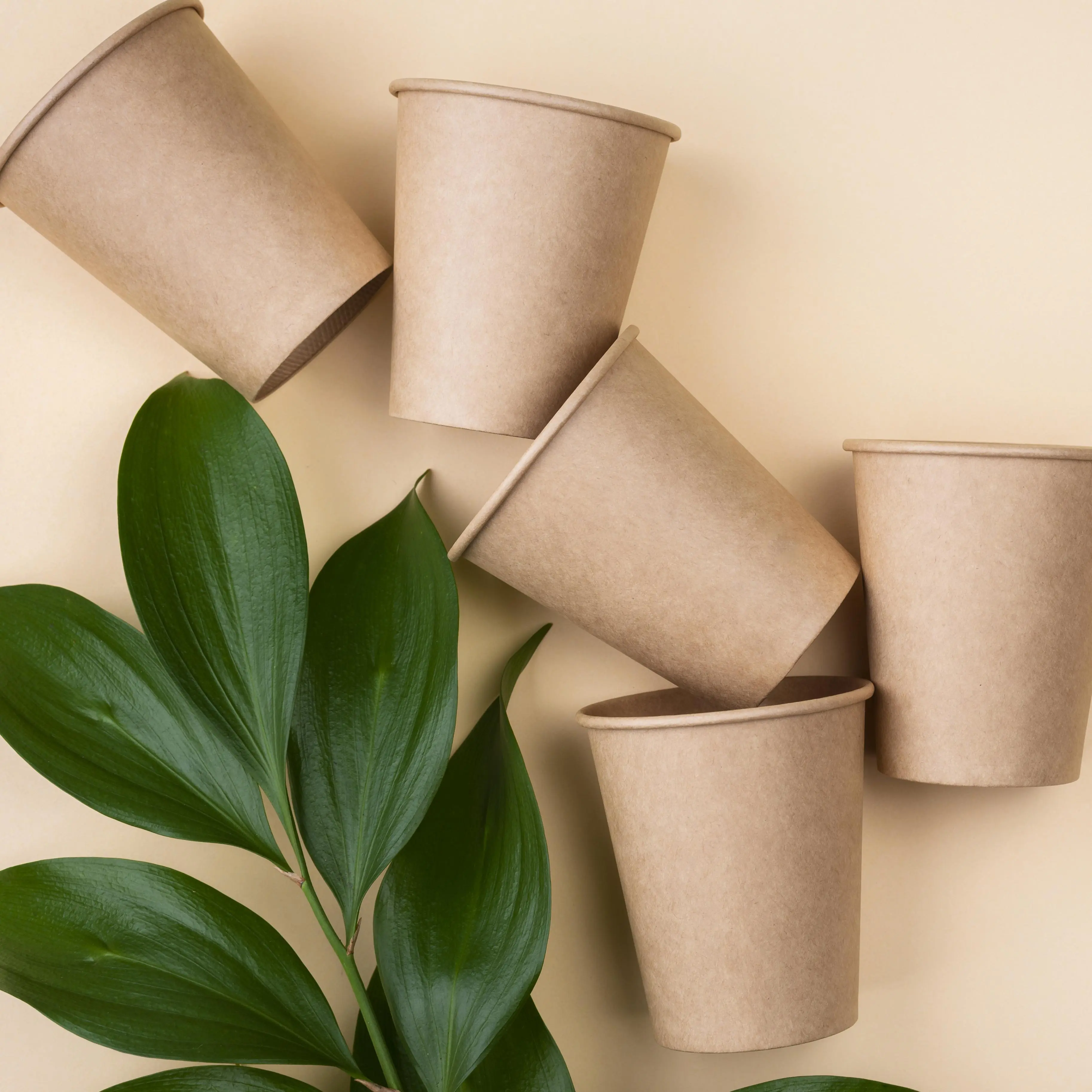 eco-friendly-disposable-tableware-cups.jpg