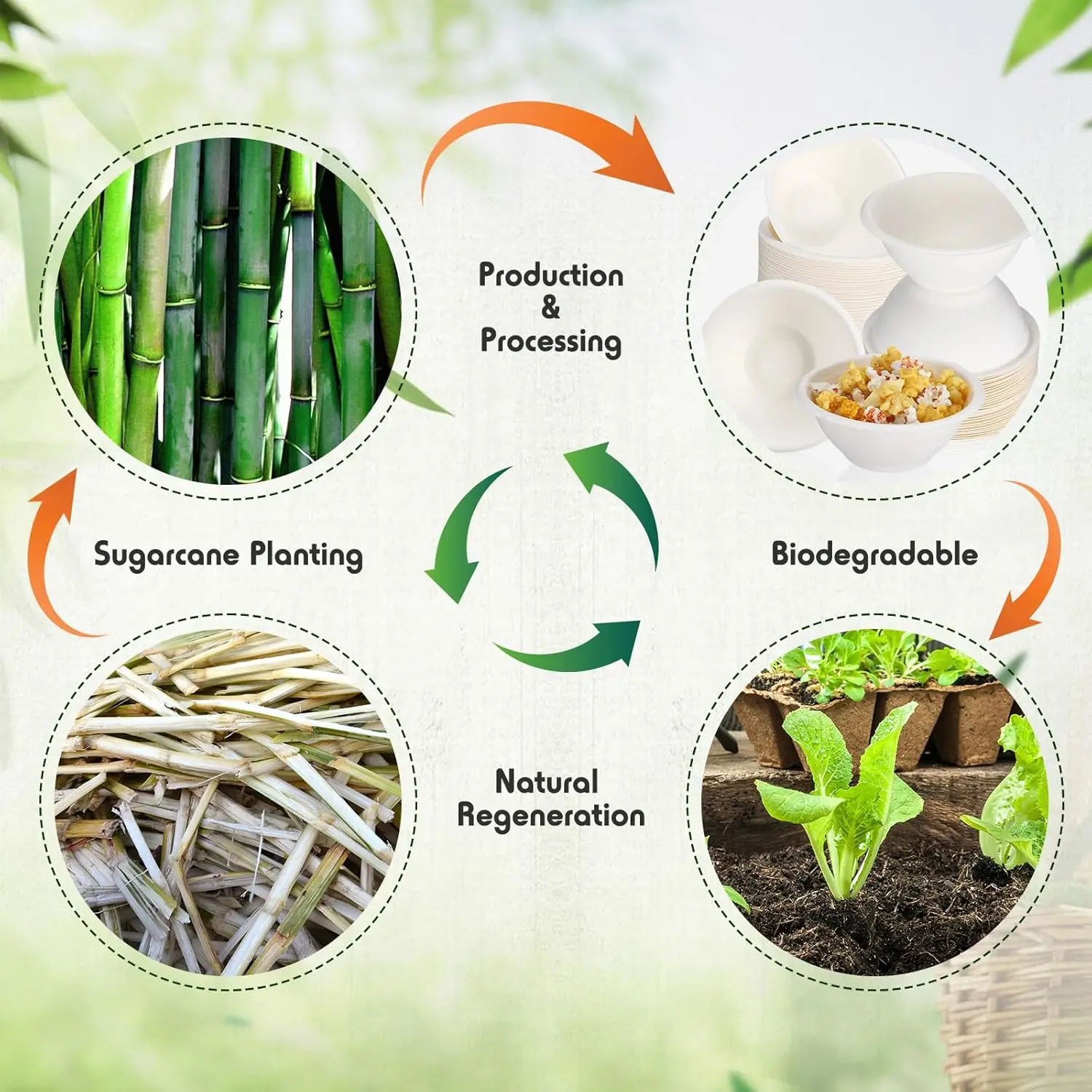 bagasse bowl.jpg